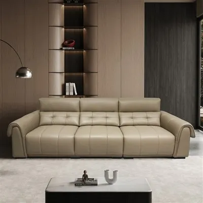 আধুনিক বিভাগীয় সোফা